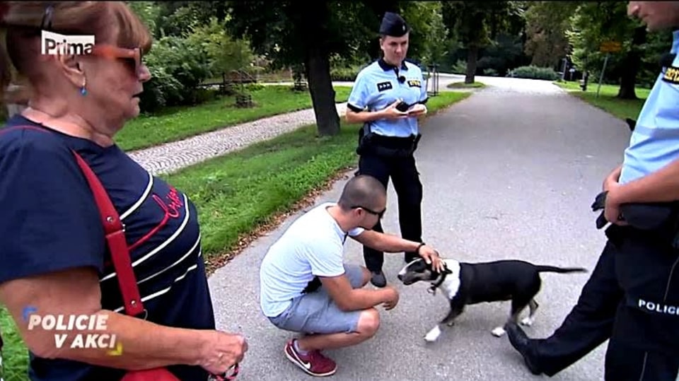 Policie v akci IV (78)